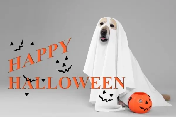 Happy Halloween from 1st American Mortgage Lenders Inc.